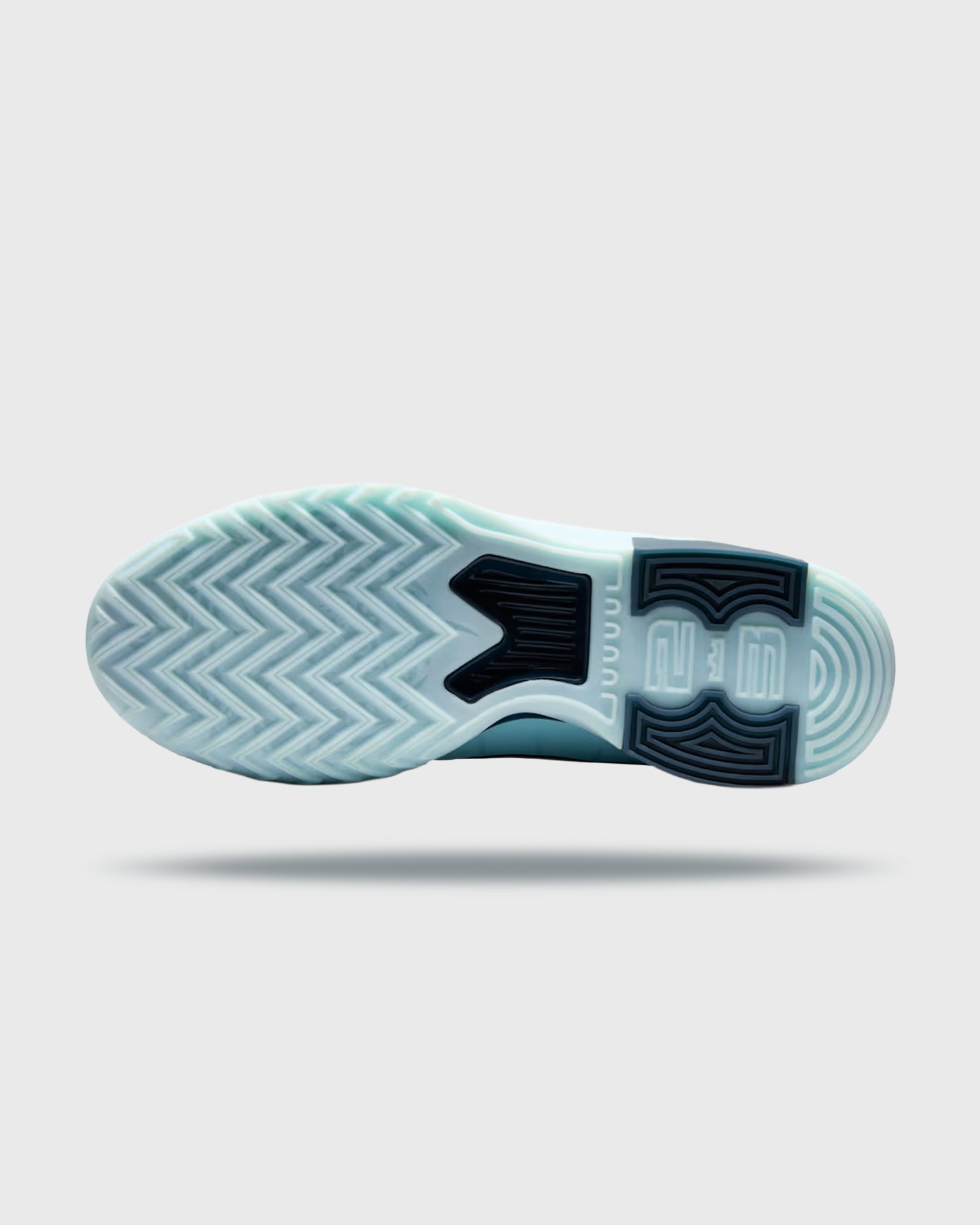NikeLeBronWitness9BasketbalschoenBlauwOA