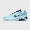 Nike LeBron Witness 9Basketbalschoen Blauw